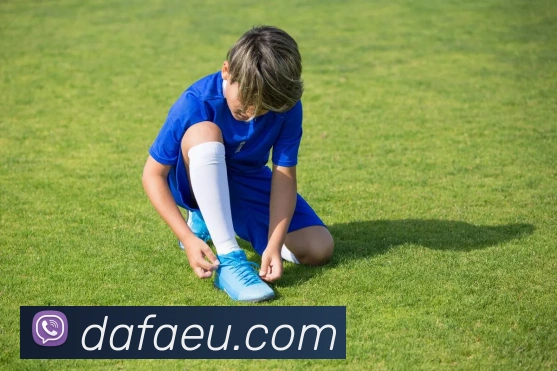 大发官网APP 封面图